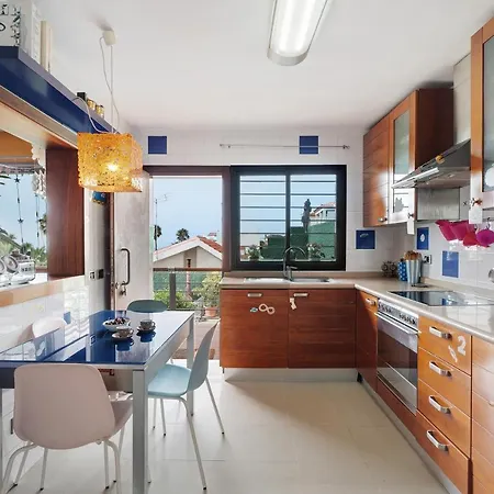 Palmeras, Un Remanso De Paz Candelaria