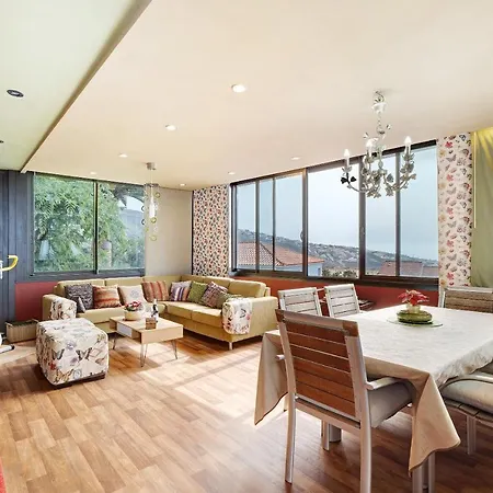 Palmeras, Un Remanso De Paz Candelaria