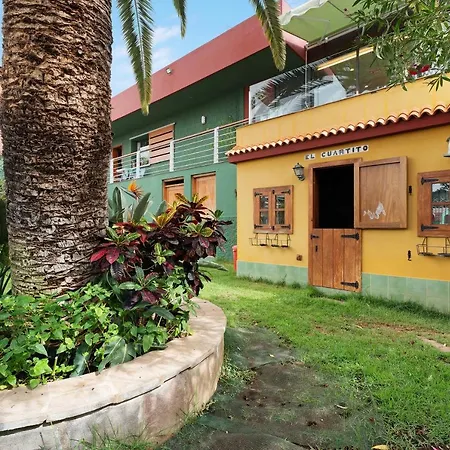 Palmeras, Un Remanso De Paz 坎德拉里亚