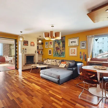 Palmeras, Un Remanso De Paz *