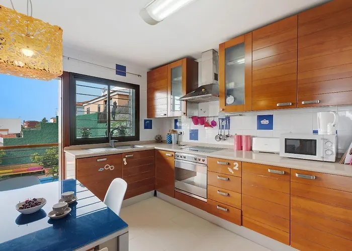 Palmeras, Un Remanso De Paz Candelaria